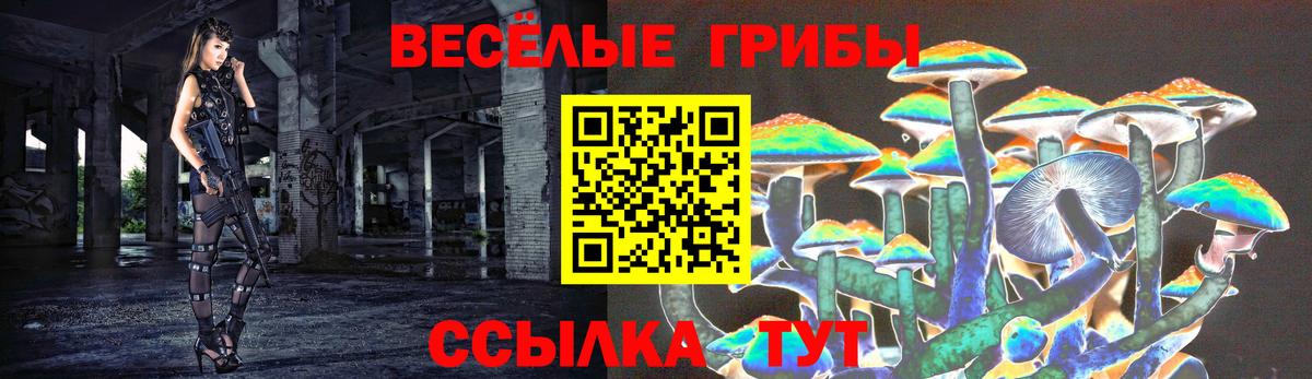 Галлюциногенные грибы Magic Shrooms Жуковский